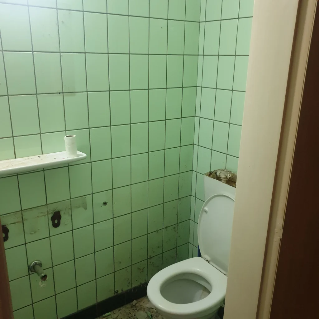 Stara toaleta z zielonymi płytkami przed całkowitą przebudową łazienki.